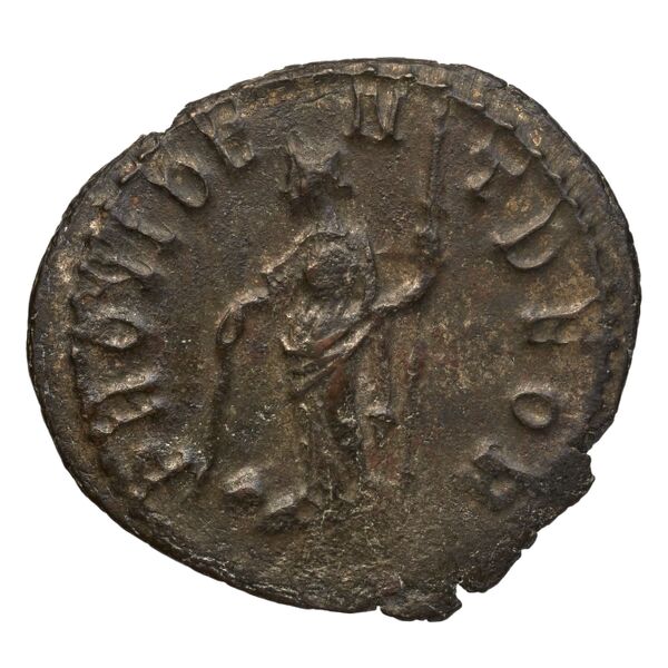 реверс RIC V Diocletian 73