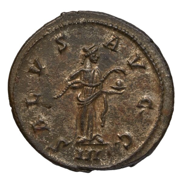 RIC V Diocletian 89, реверс, bnf_ocre