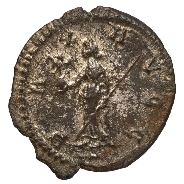 реверс RIC V Diocletian 401