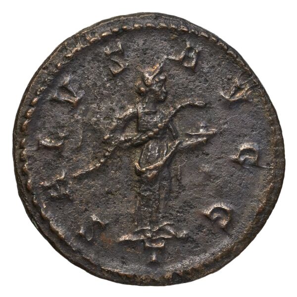 RIC V Diocletian 422, реверс, bnf_ocre