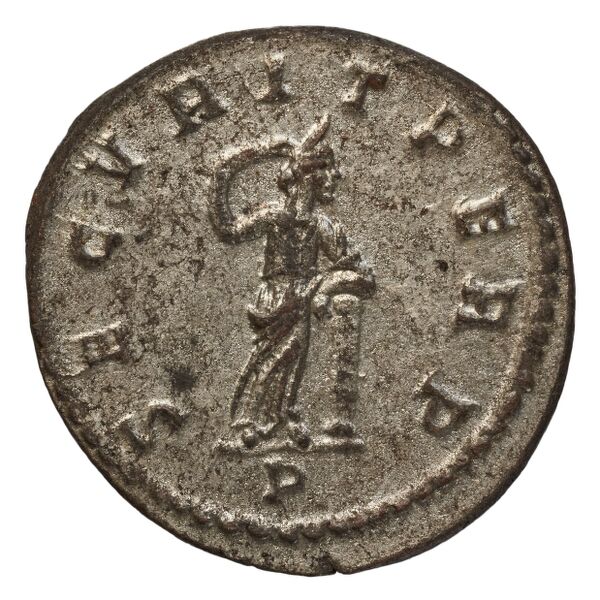 RIC V Diocletian 83, реверс, bnf_ocre