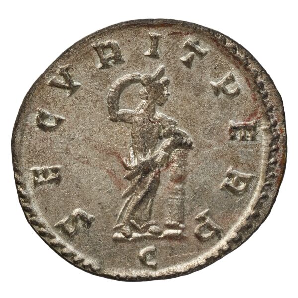RIC V Diocletian 83, реверс, bnf_ocre