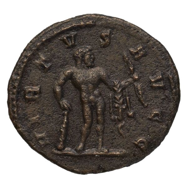 reverse RIC V Diocletian 526