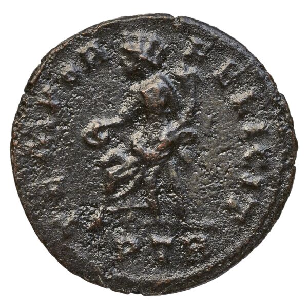 реверс RIC V Diocletian 481