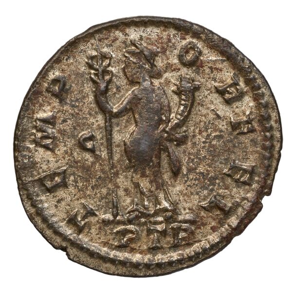реверс RIC V Diocletian 655