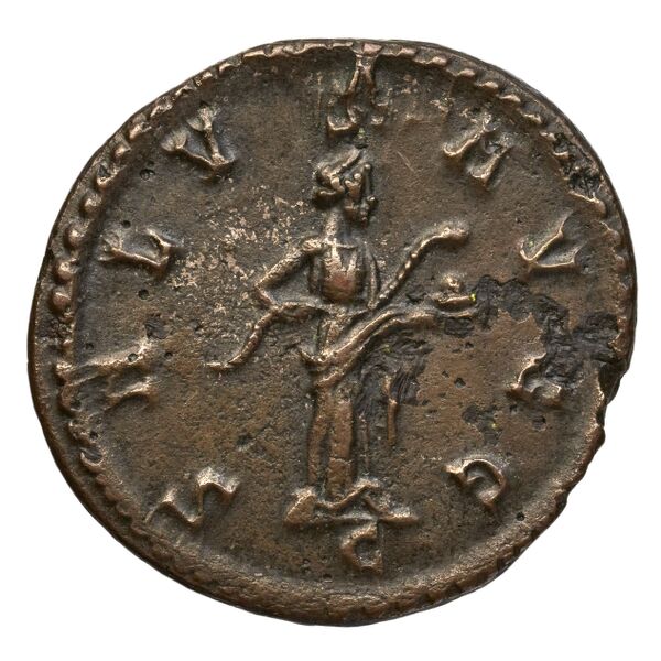 RIC V Diocletian 88, реверс, bnf_ocre
