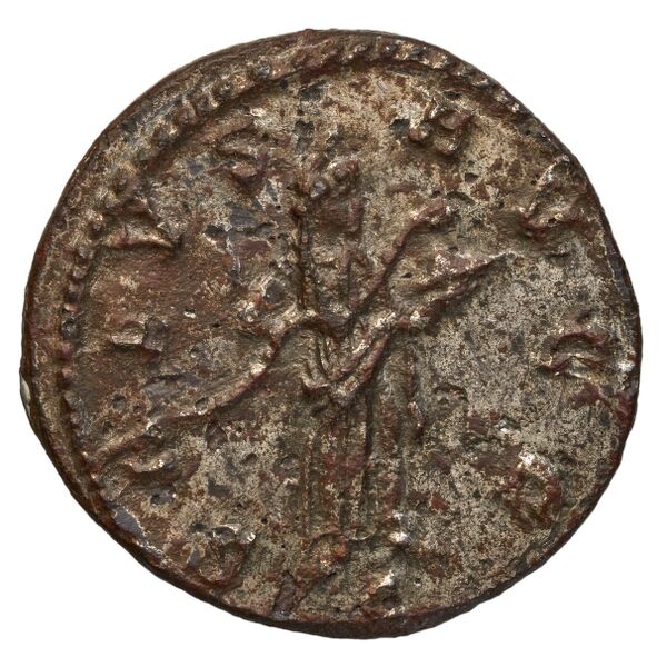 RIC V Diocletian 89, реверс, bnf_ocre