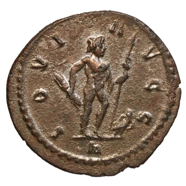 reverse RIC V Diocletian 32
