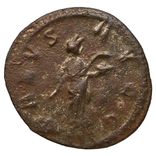 RIC V Diocletian 89, реверс, bnf_ocre