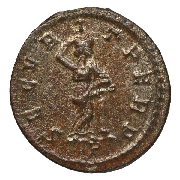 RIC V Diocletian 83, реверс, bnf_ocre