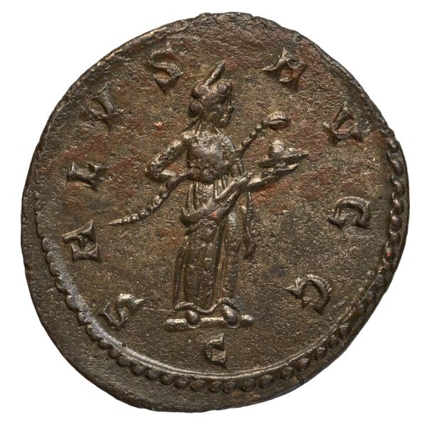 RIC V Diocletian 89, реверс, bnf_ocre