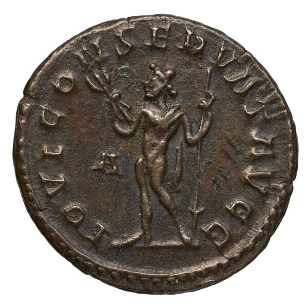RIC V Diocletian 43, реверс, bnf_ocre