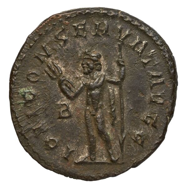 RIC V Diocletian 43, реверс, bnf_ocre