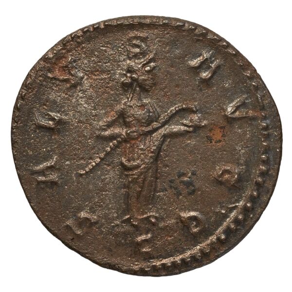 RIC V Diocletian 89, реверс, bnf_ocre