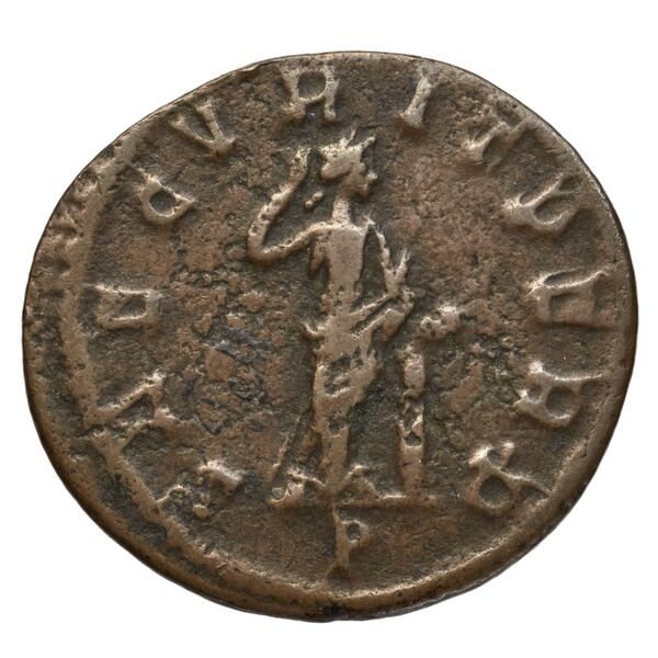 RIC V Diocletian 83, реверс, bnf_ocre