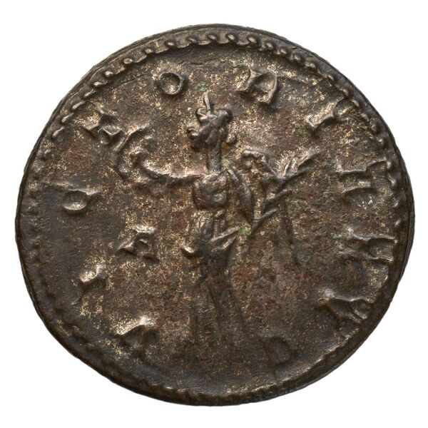RIC V Diocletian 91, реверс, bnf_ocre