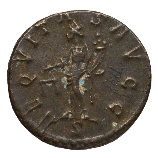 RIC V Diocletian 348, реверс, bnf_ocre