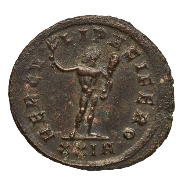 reverse RIC V Diocletian 502