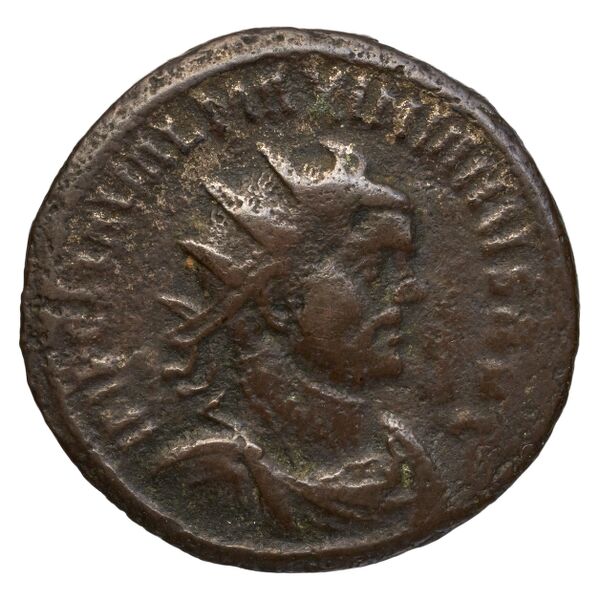 RIC V Diocletian 559, аверс, bnf_ocre