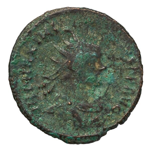 obverse RIC V Diocletian 516