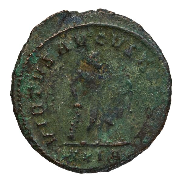 reverse RIC V Diocletian 516