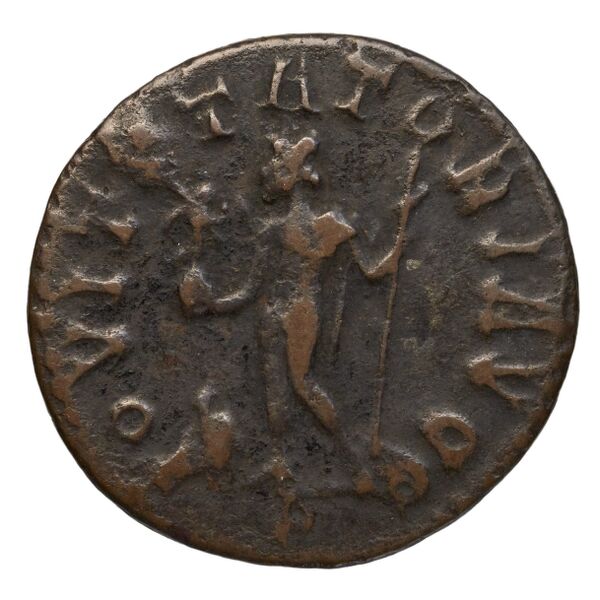 реверс RIC V Diocletian 390