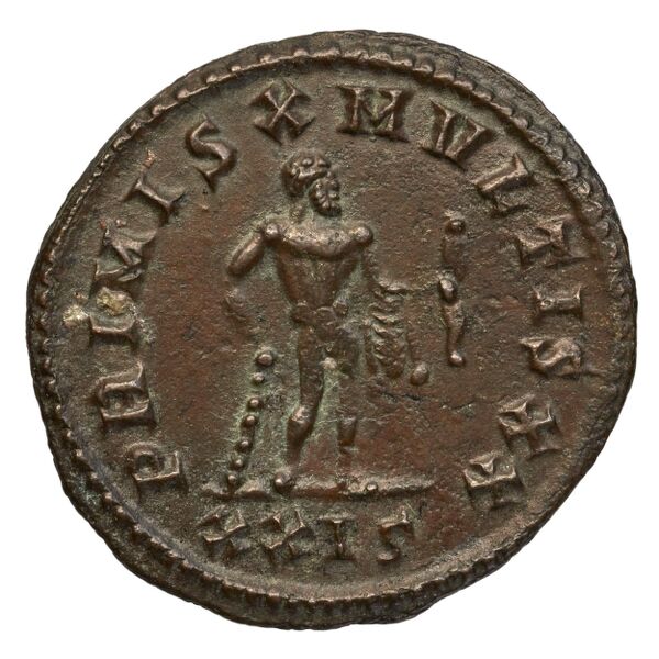 reverse RIC V Diocletian 511