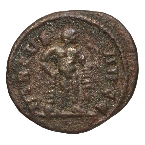 reverse RIC V Diocletian 527