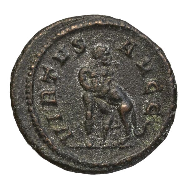 reverse RIC V Diocletian 525