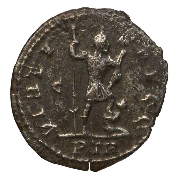 реверс RIC V Diocletian 483