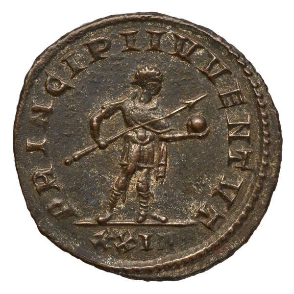 reverse RIC V Diocletian 660