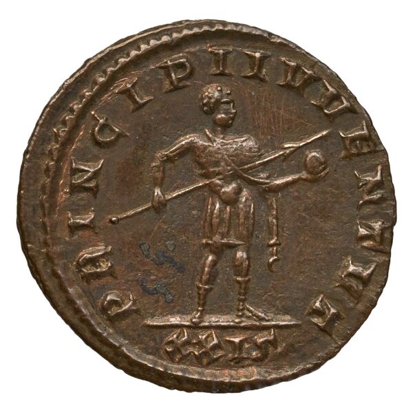 reverse RIC V Diocletian 705