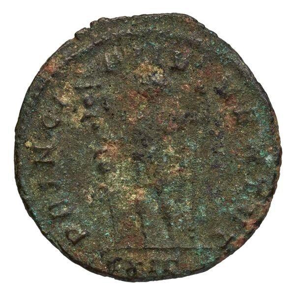 reverse RIC V Diocletian 707