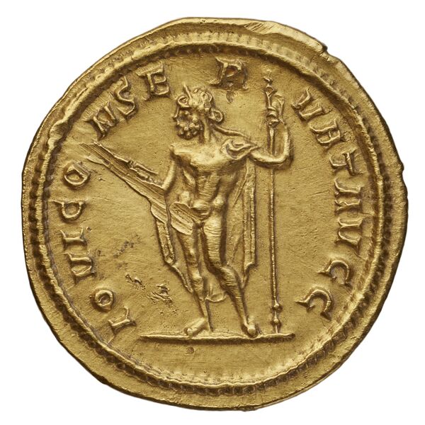 reverse RIC V Diocletian 496