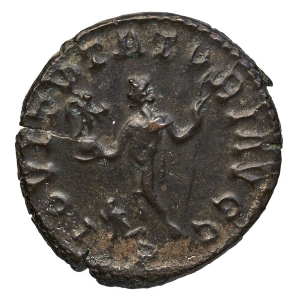 реверс RIC V Diocletian 54