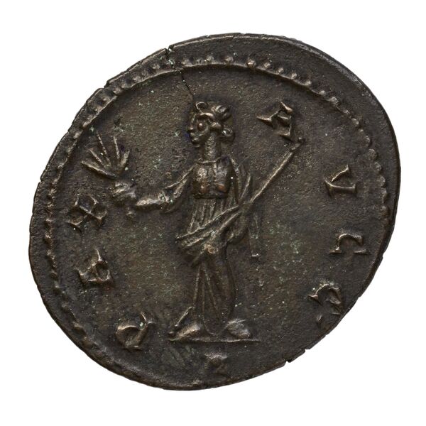 RIC V Diocletian 70, реверс, bnf_ocre