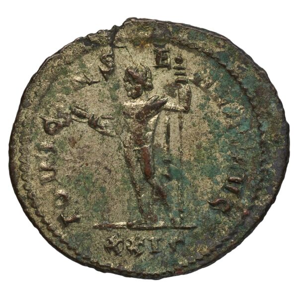 reverse RIC V Diocletian 504
