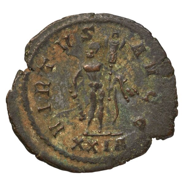 reverse RIC V Diocletian 515