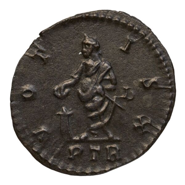 реверс RIC V Diocletian 702