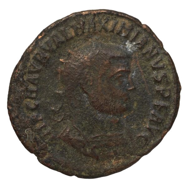 RIC V Diocletian 622, аверс, bnf_ocre