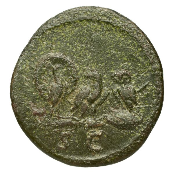 RIC II, Part 3 (second edition) Hadrian 2182, реверс, bnf_ocre