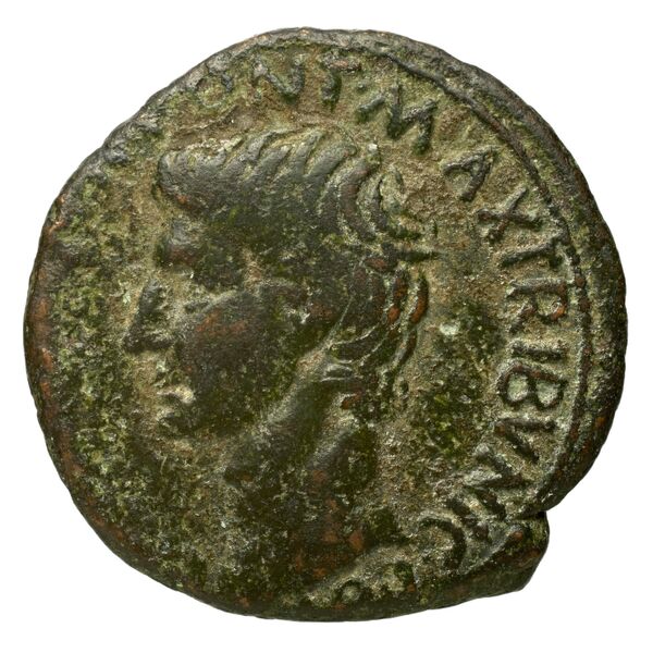 RIC I (second edition) Augustus 436, аверс, bnf_ocre