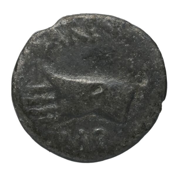 RIC I (second edition) Augustus 532, аверс, bnf_ocre
