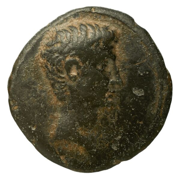 RIC I (second edition) Augustus 495, аверс, bnf_ocre