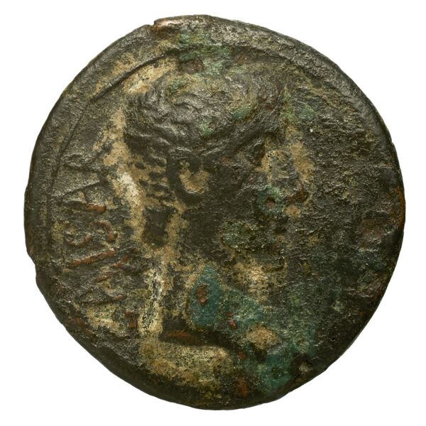 RIC I (second edition) Augustus 498, аверс, bnf_ocre