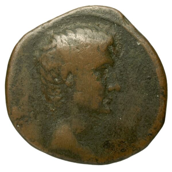 RIC I (second edition) Augustus 503, аверс, bnf_ocre