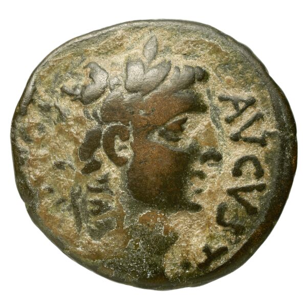 RIC I (second edition) Augustus 504, аверс, bnf_ocre