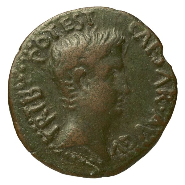 RIC I (second edition) Augustus 20, аверс, bnf_ocre