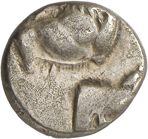 CN Type cn.chersonesus_thrace.1_ed.105, аверс, cn-coins