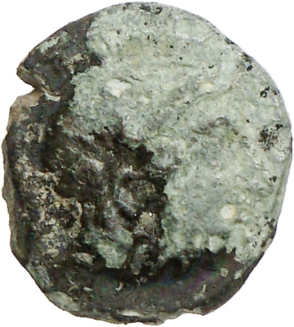 CN Type cn.chersonesus_thrace.1_ed.117, аверс, cn-coins